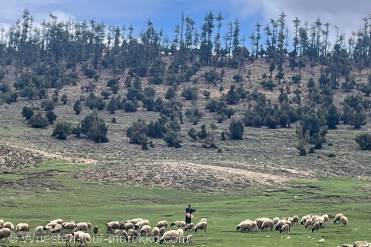 2 Tage Tour Fes nach Merzouga