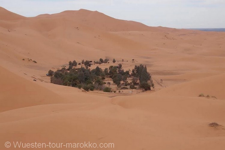 Kamelritt und Nacht bei Nomadenfamilie