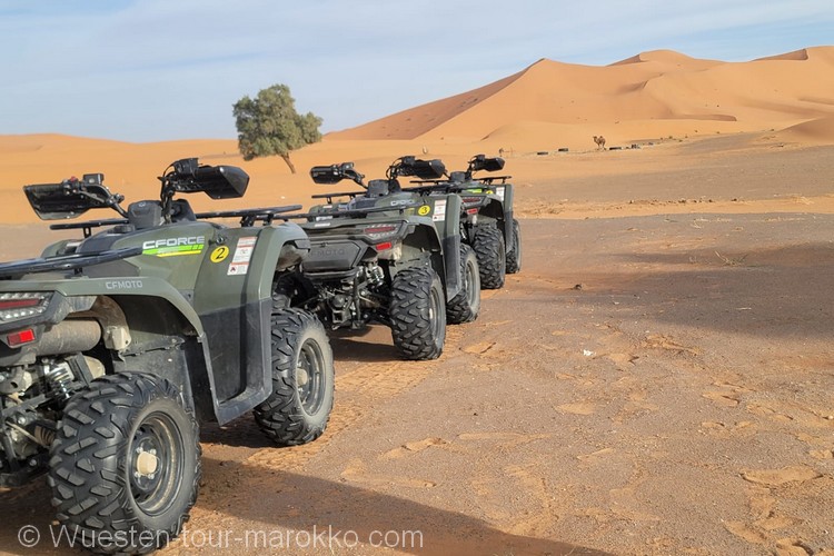 Quadfahren in der Merzouga Wüste